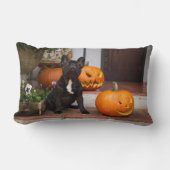 最も可愛い赤ん坊の動物 |ブルドッグフランスのハロウィーン ランバークッション (正面)