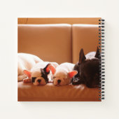 最も可愛い赤ん坊の動物 |ブルドッグフランスのファミリー ノートブック (裏面)