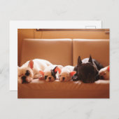 最も可愛い赤ん坊の動物 |ブルドッグフランスのファミリー ポストカード (正面/裏面)