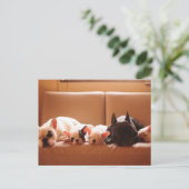 最も可愛い赤ん坊の動物 |ブルドッグフランスのファミリー ポストカード (スタンド正面)