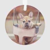 最も可愛い赤ん坊の動物 |ブルドッグフランスのプレイグラウンド オーナメント (裏面)