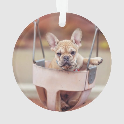 最も可愛い赤ん坊の動物 |ブルドッグフランスのプレイグラウンド オーナメント (裏面)