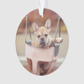 最も可愛い赤ん坊の動物 |ブルドッグフランスのプレイグラウンド オーナメント (正面)