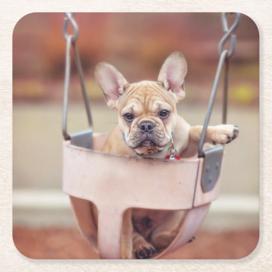 最も可愛い赤ん坊の動物 |ブルドッグフランスのプレイグラウンド スクエアペーパーコースター (正面)