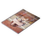 最も可愛い赤ん坊の動物 |ブルドッグフランスのプレイグラウンド ノートブック (左側)