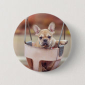 最も可愛い赤ん坊の動物 |ブルドッグフランスのプレイグラウンド 缶バッジ (正面)