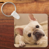 最も可愛い赤ん坊の動物 |ブルドッグフランスのヘッドのティルト キーホルダー (正面)