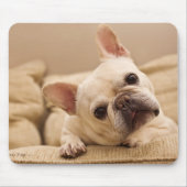 最も可愛い赤ん坊の動物 |ブルドッグフランスのヘッドのティルト マウスパッド (正面)