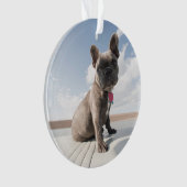 最も可愛い赤ん坊の動物 |ブルドッグフランスのボート オーナメント (正面)