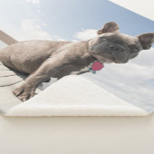 最も可愛い赤ん坊の動物 |ブルドッグフランスのボート シェルパブランケット (3/4)