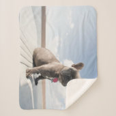 最も可愛い赤ん坊の動物 |ブルドッグフランスのボート シェルパブランケット (正面)