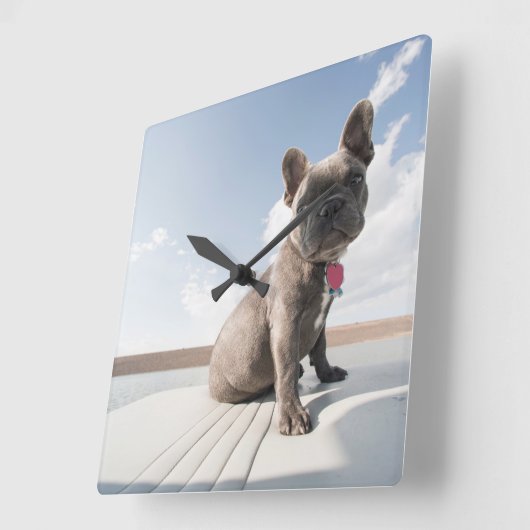 最も可愛い赤ん坊の動物 |ブルドッグフランスのボート スクエア壁時計 (傾斜)