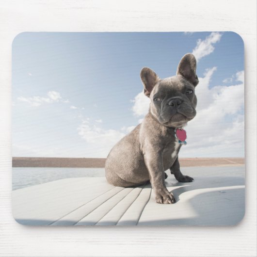最も可愛い赤ん坊の動物 |ブルドッグフランスのボート マウスパッド (正面)