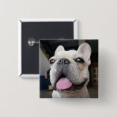 最も可愛い赤ん坊の動物 |ブルドッグフランスの顔 缶バッジ (正面&裏面)