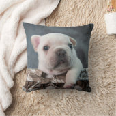 最も可愛い赤ん坊の動物 |ブルドフランスのッグ クッション (ブランケット)