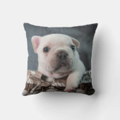 最も可愛い赤ん坊の動物 |ブルドフランスのッグ クッション (裏面)