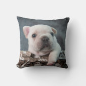 最も可愛い赤ん坊の動物 |ブルドフランスのッグ クッション (正面)