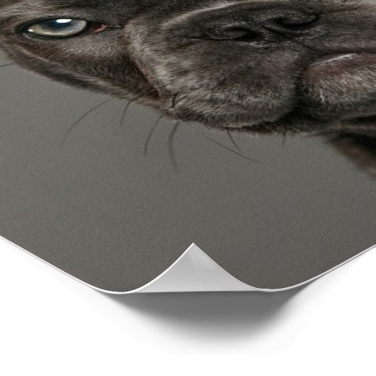 最も可愛い赤ん坊の動物 |ブルドフランスのッグ ポスター (角)