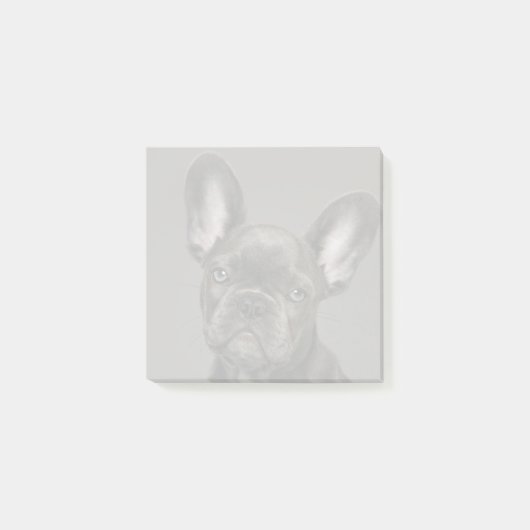最も可愛い赤ん坊の動物 |ブルドフランスのッグ ポストイット (正面)