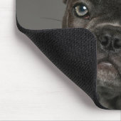 最も可愛い赤ん坊の動物 |ブルドフランスのッグ マウスパッド (コーナー)