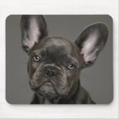 最も可愛い赤ん坊の動物 |ブルドフランスのッグ マウスパッド (正面)