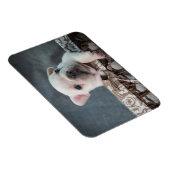 最も可愛い赤ん坊の動物 |ブルドフランスのッグ マグネット (右側)