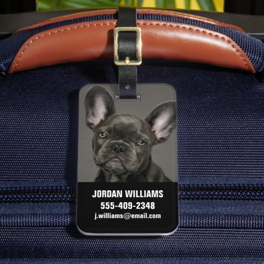 最も可愛い赤ん坊の動物 |ブルドフランスのッグ ラゲッジタグ (正面インサイチュ2)