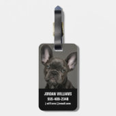 最も可愛い赤ん坊の動物 |ブルドフランスのッグ ラゲッジタグ (裏面縦)