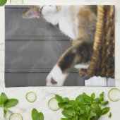 最も可愛い赤ん坊の動物 |ベッドの中の猫 キッチンタオル (折り畳み)