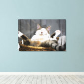 最も可愛い赤ん坊の動物 |ベッドの中の猫 キャンバスプリント (インサイチュ (ウッドフロア))