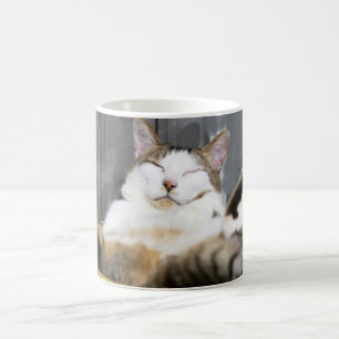 最も可愛い赤ん坊の動物 ベッドの中の猫 コーヒーマグカップ