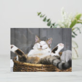 最も可愛い赤ん坊の動物 |ベッドの中の猫 サンキューカード (スタンド正面)