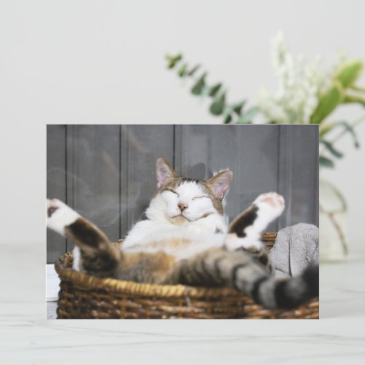 最も可愛い赤ん坊の動物 |ベッドの中の猫 サンキューカード (スタンド正面)