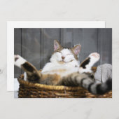 最も可愛い赤ん坊の動物 |ベッドの中の猫 サンキューカード (正面/裏面)