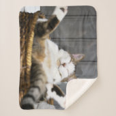 最も可愛い赤ん坊の動物 |ベッドの中の猫 シェルパブランケット (正面)