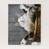 最も可愛い赤ん坊の動物 |ベッドの中の猫 ジグソーパズル (縦)