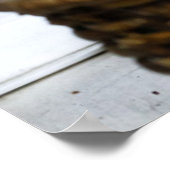 最も可愛い赤ん坊の動物 |ベッドの中の猫 ポスター (角)