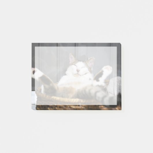 最も可愛い赤ん坊の動物 |ベッドの中の猫 ポストイット (正面)