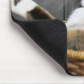 最も可愛い赤ん坊の動物 |ベッドの中の猫 マウスパッド (コーナー)