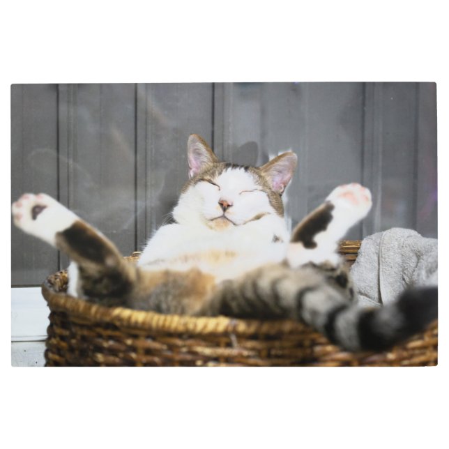 最も可愛い赤ん坊の動物 |ベッドの中の猫 メタルプリント (正面)