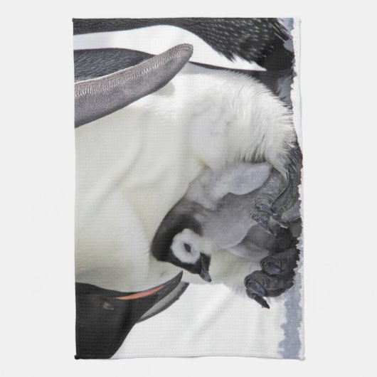 最も可愛い赤ん坊の動物 |ベビーエンペエンペンギン キッチンタオル (縦)