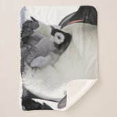 最も可愛い赤ん坊の動物 |ベビーエンペエンペンギン シェルパブランケット (正面)