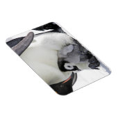 最も可愛い赤ん坊の動物 |ベビーエンペエンペンギン マグネット (右側)