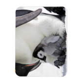 最も可愛い赤ん坊の動物 |ベビーエンペエンペンギン マグネット (縦)