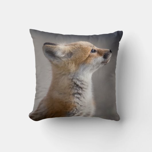 最も可愛い赤ん坊の動物 |ベビーキツネポートレート クッション (正面)