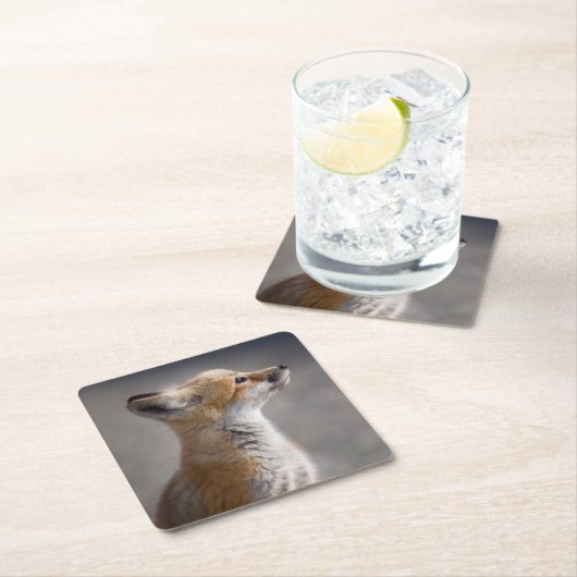 最も可愛い赤ん坊の動物 |ベビーキツネポートレート スクエアペーパーコースター (インサイチュ)
