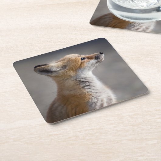 最も可愛い赤ん坊の動物 |ベビーキツネポートレート スクエアペーパーコースター (アングル)