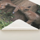 最も可愛い赤ん坊の動物 |ベビーキツネ遊の シェルパブランケット (3/4)