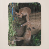 最も可愛い赤ん坊の動物 |ベビーキツネ遊の シェルパブランケット (正面)