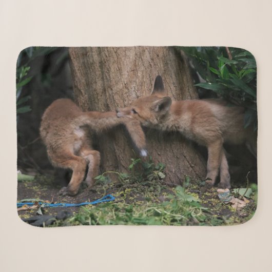 最も可愛い赤ん坊の動物 |ベビーキツネ遊の シェルパブランケット (正面(横))